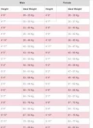 29 High Quality Model Height Weight Chart