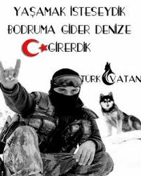 Asker Polis Bayrak Panosundaki Pin