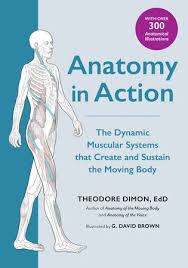 Anatomy • free medical books. Anatomy In Action By Theodore Dimon Jr 9781623175801 Penguinrandomhouse Com Books