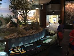 5 Memorable Things from our Trip to Everglades National Park