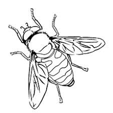 We have all kinds of cute honey bee and bumblebee coloring pages. Top 15 Bumblebee Coloring Pages For Your Little One