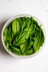 I have a bumper crop, but i know we are facing a freeze pretty quick. How To Freeze Basil The Easiest Way Champagne Tastes