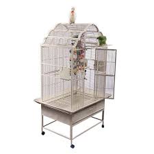 Free Bird Cages Near Me Free 2 Day Shipping Buy A And E Cage Co Medium Victorian Top Bird Cage Black At Walmart Com Large Bird Cages Bird Cage Bird Cage Stand
