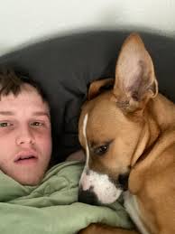 Man dancing in road and trying to get hit by cars