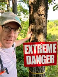 Gotta love a nice walk when this is