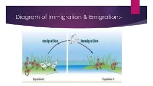 Hardy-Weinberg Equilibrium: The Cornerstone of Population Genetics | PPTX