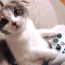 Now, players have had over half a year to check out the playstation and the xbox series x/s. Funny Gamer Memes Home Facebook