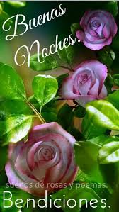 Feliz Noche Dulces Suenos Suenos De Rosas Y Poemas Facebook