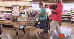 Lowe's home improvement, mooresville, north carolina. Dog Friendly Retail Chains 15 Stores Your Pup Will Love Shopping At
