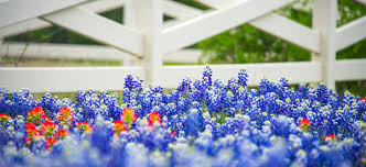 36 pleasant garden family practice $30,000 jobs available on indeed.com. Utscap Ut Southwestern Medical Center