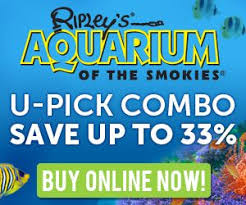 Ripleys Aquarium Coupons And Discount Tickets 2014 Gatlinburg Coupons Gatlinburg Gatlinburg Aquarium