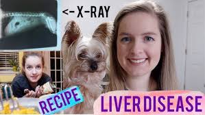 Benefits of Milk Thistle for Dogs with Dr. Chris Bessent