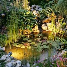 Alles Rund Um Einen Gartenteich In 2020 Gartenteich Kleiner Gartenteich Gartengestaltung