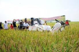 Loker pertanian adalah layanan publik dan kreator video dibidang pertanian & perkebunan. Petani Ngawi Sukses Tingkatkan Produksi Padi