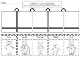 Human Life Sequence Human Life Cycle Life Cycles Cycle For Kids