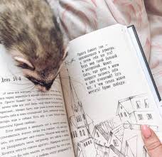 книга в метре друг от друга читать онлайн бесплатно Pin Na Doshci Art