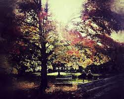 Das ist sicherer, als große geldmengen zu hause aufzubewahren. Zwei Auf Einer Bank Foto Bild Erwachsene Menschen Im Alter Landschaften Bilder Auf Fotocommunity