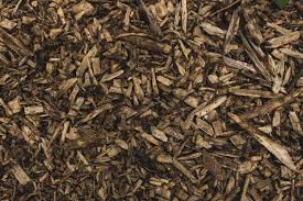 Check spelling or type a new query. Free Wood Bc Plant Health Care Tree Care Arboriculture Services
