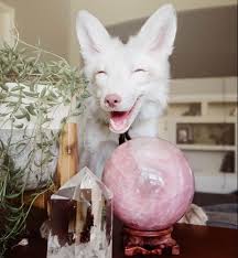 J U N I P E R F I G On Instagram Mystical Elmwood Is Here To Tell You A Fortune Fren Rocksforthespirit Cute Cats And Dogs Japanese Cartoon Cute Fox