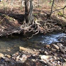 Many early virginia cities developed along the fall line, the natural border between the tidewater (coastal plain) and piedmont regions. The 10 Best Virginia Bodies Of Water With Photos Tripadvisor