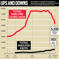 Massachusetts state-run shelter population declining, data shows