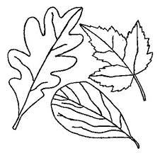Includes images of baby animals, flowers, rain showers, and more. Drawing Of Fall Leaf Coloring Page Netart