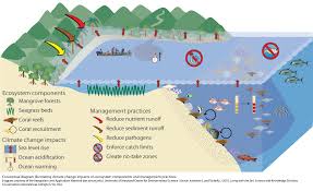 Ecosystem Diagram Index Of Salvor Myndvinnsla Inkscape Ian Symbol Libraries 5 1 Svg Ecosystems Systems Thinking Ocean Acidification