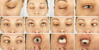 Carol High Res Skin Texture Photo Set by 3d-sk