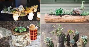 Wooden vertical succulent garden scrap wood for the wooden frame, few live succulents, a scrap piece of plywood for the back of the frame along with few other supplies are all you need for this diy. 14 Diy Wood Succulent Planter Ideas Balcony Garden Web