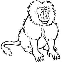 Posted in coloring page, december 1, 2020 by crystal stewarton baboon monkey wild animal cartoon coloring book page stock illustration download image pages. Printable Coloring Pages Animals Animal Coloring Pages Coloring Pictures Super Coloring Pages