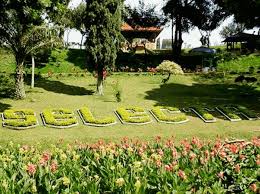 Selecta Malang Jawa Timur Beautiful Flowers Garden Malang Beautiful Flowers