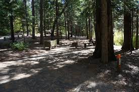 Whether it is a reunion, a picnic or a wedding on the big stump, there is a place in the park that will make your event memorable. Oak Hollow Campground Calaveras Big Trees State Park State Parks Big Tree Tree