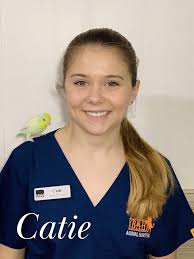 Meet the Team at Bradfordville Animal Hospital