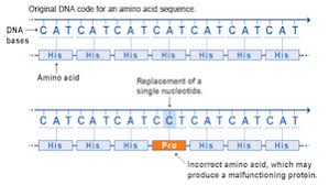 You will need a genetic code chart. Dna Mutations Vs Rna Mutations Study Com