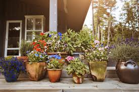 So you'll find something to suit every garden. Tips For Beautiful Large Container Gardens