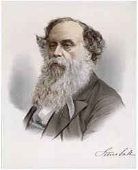 Salt Art Prints, Posters & Photo Prints