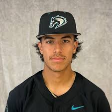 League Batting Leaders