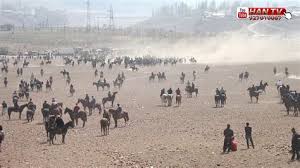 Баромади фируз човандоз ай н.вахш. Buzkashi Huzhand Epadrom Eksklyuziv 7 Zhuda Katta Ulok Kukmar Buzkashi 6 Mart Sirozhiddin Polvon Tozhikiston Ulok Kupkari Buzkashi Kupkari Hudzhand Siti Mastchoh Siti Gubuk Pendidikan