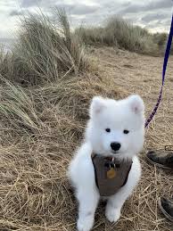 Went To Visit The Seals With Our Little Bub
