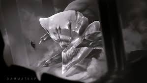 Their luck in love relationship is too good, so be. A Wish Granting Dragon From Destiny 2 O Commenter Mine 179073104 Added By Gidmp At Be Careful What You Wish For