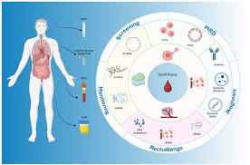Navigating the Landscape of Liquid Biopsy in Colorectal Cancer: Current  Insights and Future Directions