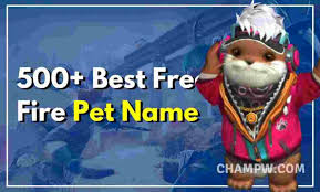 This app is not just a name generator and editor for games, now you can win diamonds for free fire by answering a daily quiz as you accumulate points you can exchange for. 500 Best Free Fire Pet Name You Should Not Miss In 2021