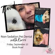Pet Dental