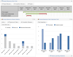 Basecamp Reports Dashboards Easy Visualization Analysis