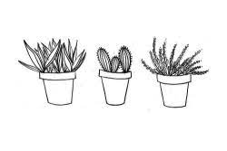 Png Tumblr Black And White Black And White Stickers Flower Drawing Tumblr Black And White Flowers