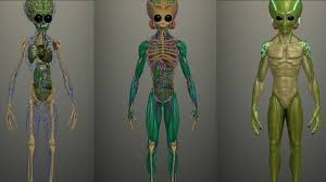 Idle human 1.10.0 apk + mod (diamante / celda / desbloqueado) android. Idle Human 1 10 0 Apk Mod Unlimited Diamonds Download