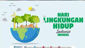 Peringati hari penyu sedunia, 145 ekor tukik dilepasliarkan di twa air hitam bengkulu. Wslmnijcc5dp8m