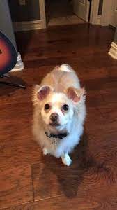 This business listing is provided by The Animal House 2934 Cypress St Ste 7 West Monroe La Pet Shops Mapquest