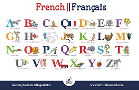 The french alphabet is the same as the english one . French English Alphabet Placemat Multimammoth