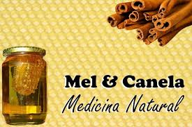 Canela Com Mel Serve Para Quê Os Incriveis Beneficios Do Mel E Da Canela Food Club Health Science Healthy Tips